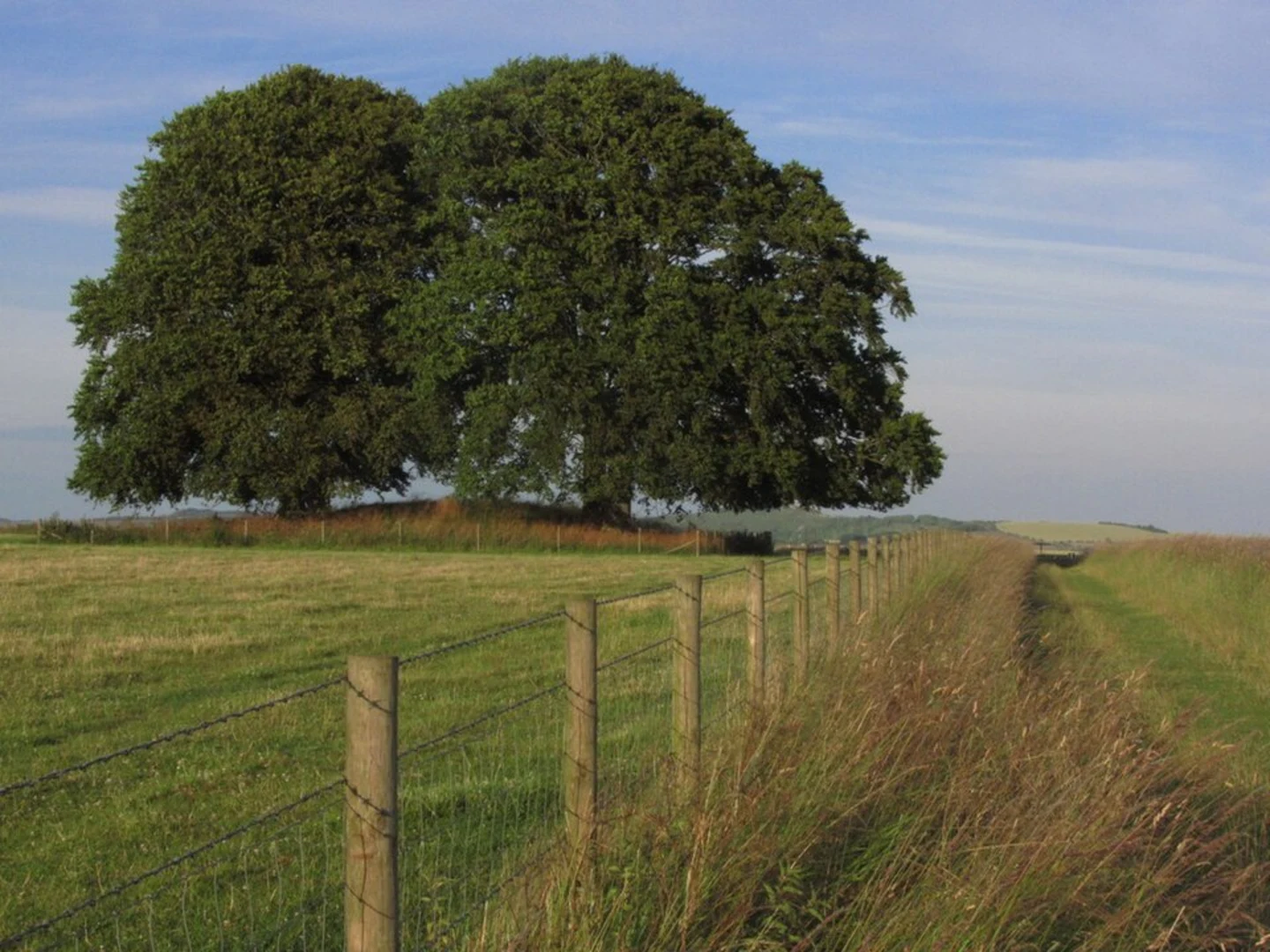 An image depicting the trail Stonehenge Walk and its surrounding area.