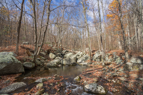 An image depicting the trail Corbin Mountain Trail and its surrounding area.
