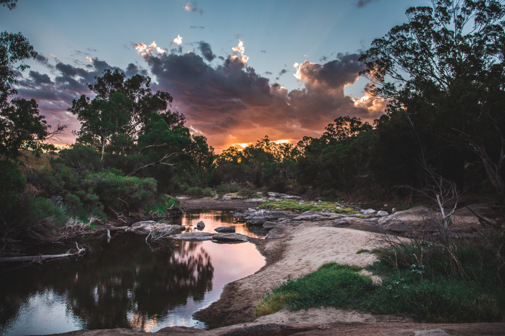An image depicting the trail Bells Rapids River Walk and its surrounding area.