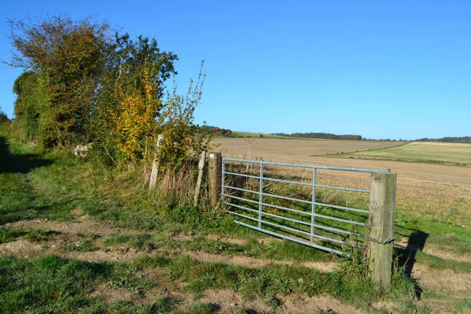 An image depicting the trail River Crane and Knap Barrow via Jubilee Trail and Hardy Way and its surrounding area.