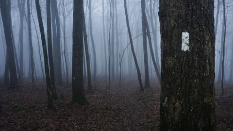 Sweat Heifer Creek via Appalachian Trail