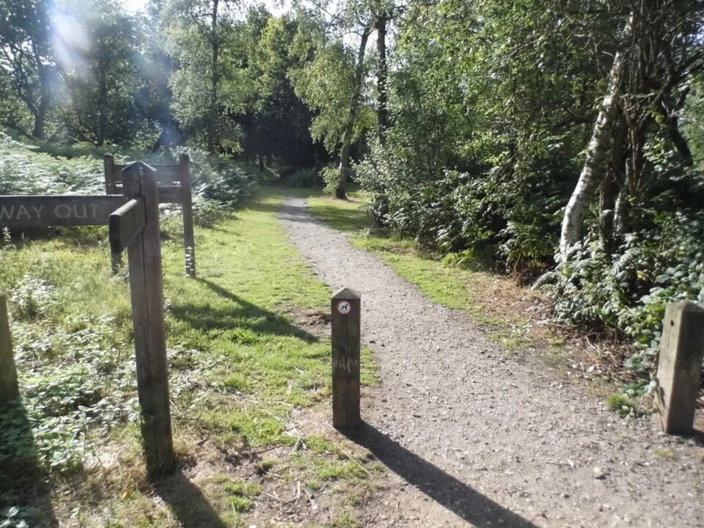 An image depicting the trail Northaw Great Wood Loop and its surrounding area.