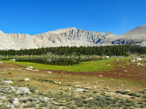 An image depicting the trail New Army Pass Trail via Little Cottonwood Creek Trail and its surrounding area.