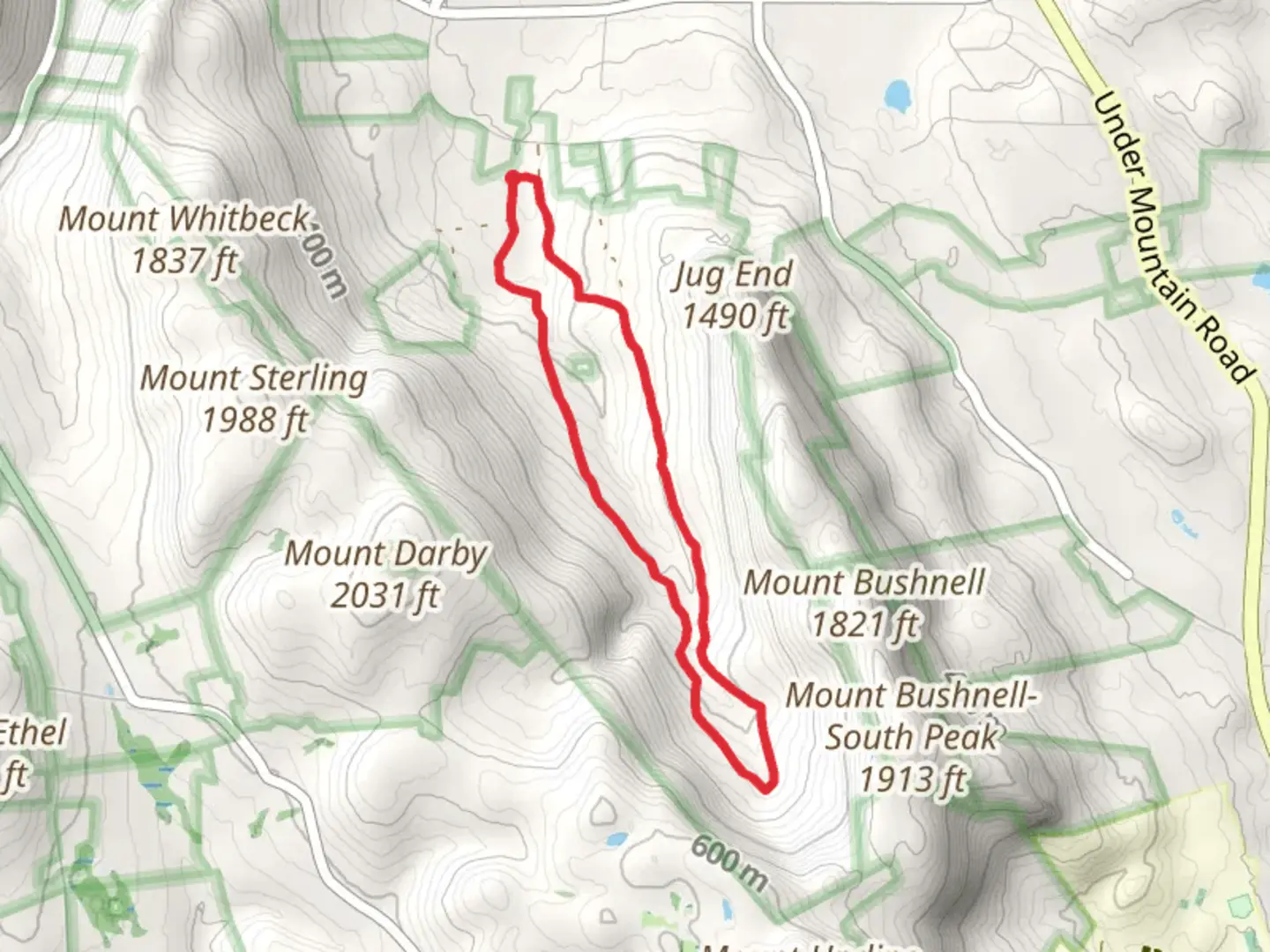 An image depicting the trail Fenton Brook Loop and its surrounding area.