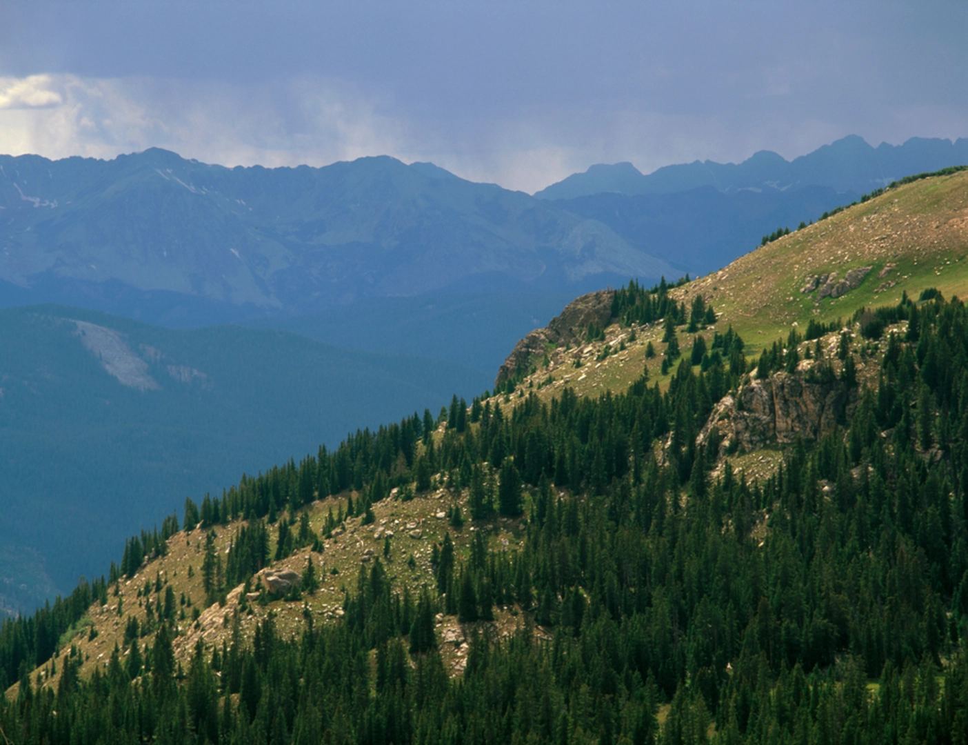 An image depicting the trail Midway Trail to Hunter Creek and its surrounding area.