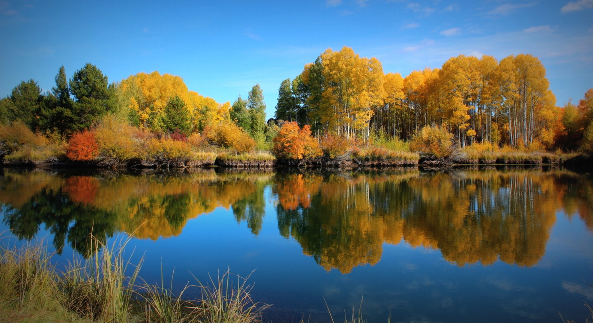An image depicting the trail Catch and Release Trail and its surrounding area.