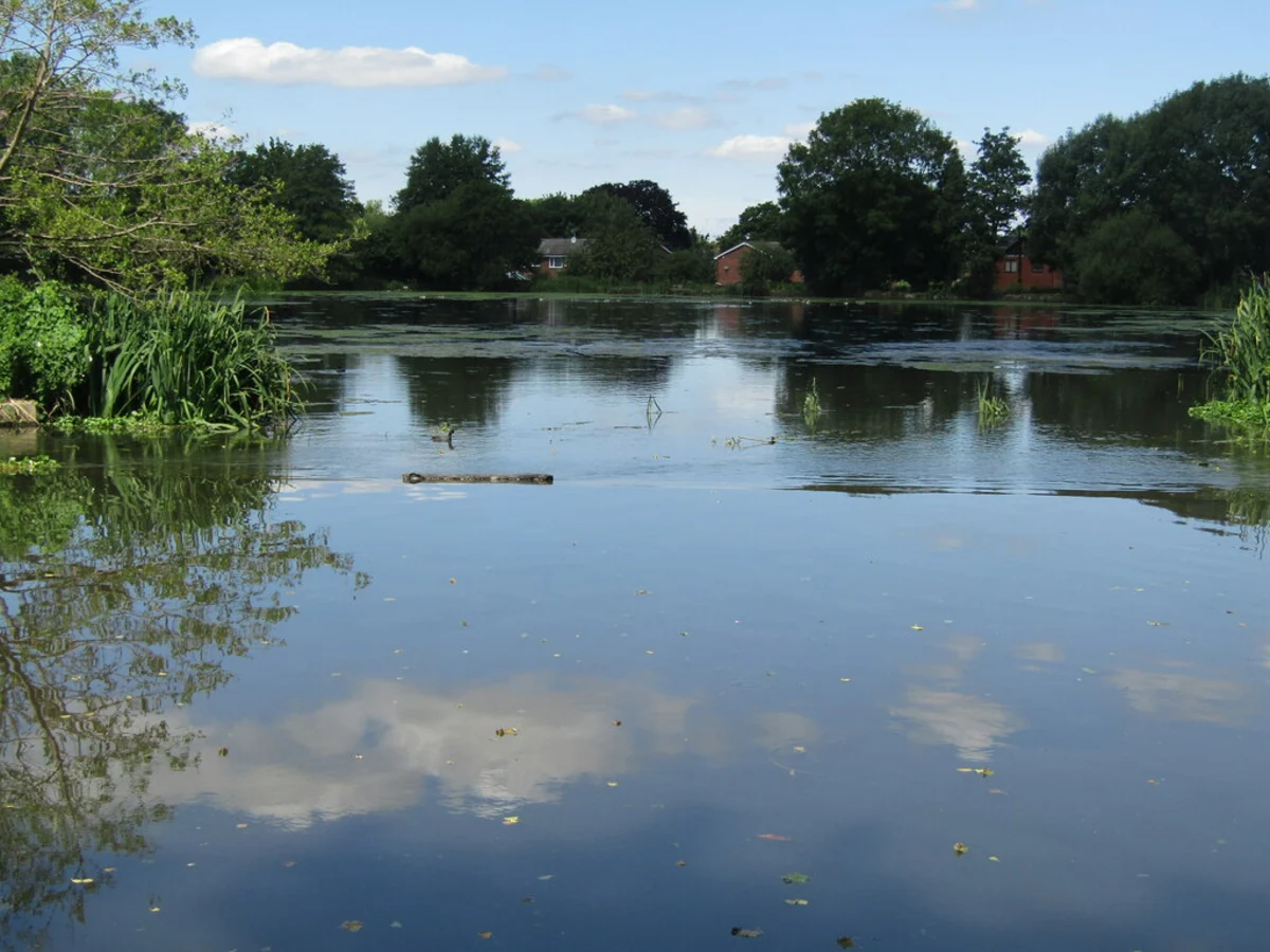 Weybridge and Coxes Mill Pond Loop