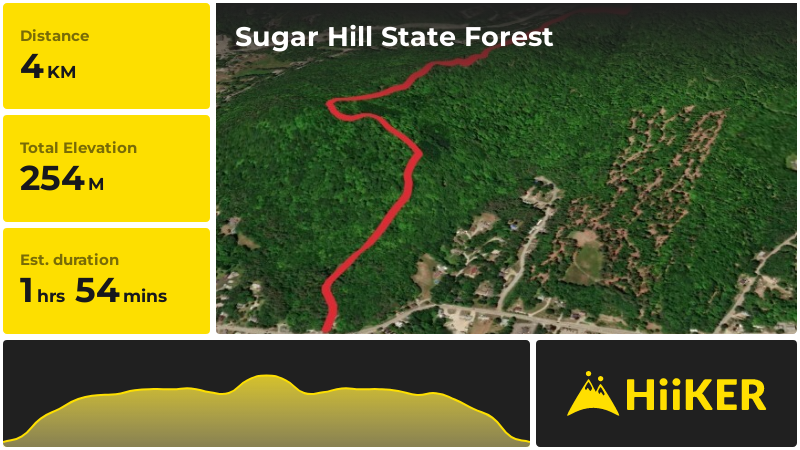 Sugar Hill State Forest Grafton County New Hampshire