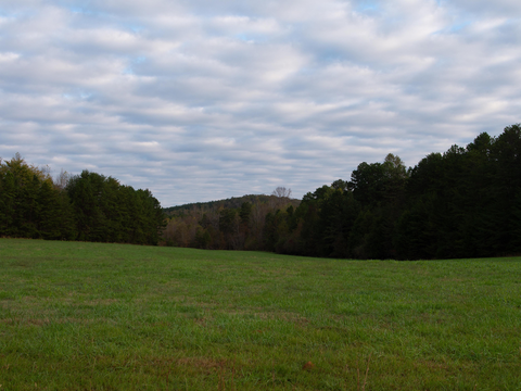An image depicting the trail Bates Trail and its surrounding area.