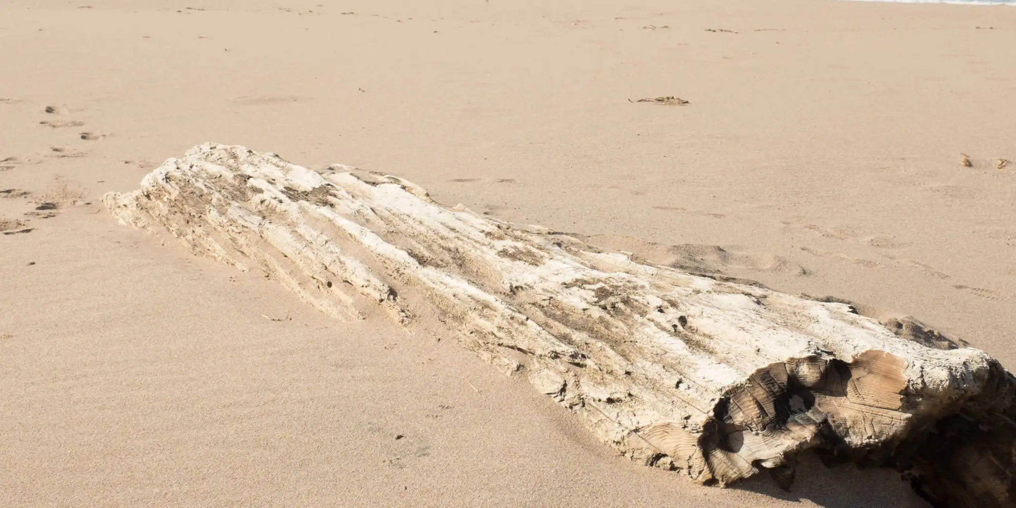 An image depicting the trail Sheigra to Sandwood Bay Loop via Lochan na Gainimh and its surrounding area.