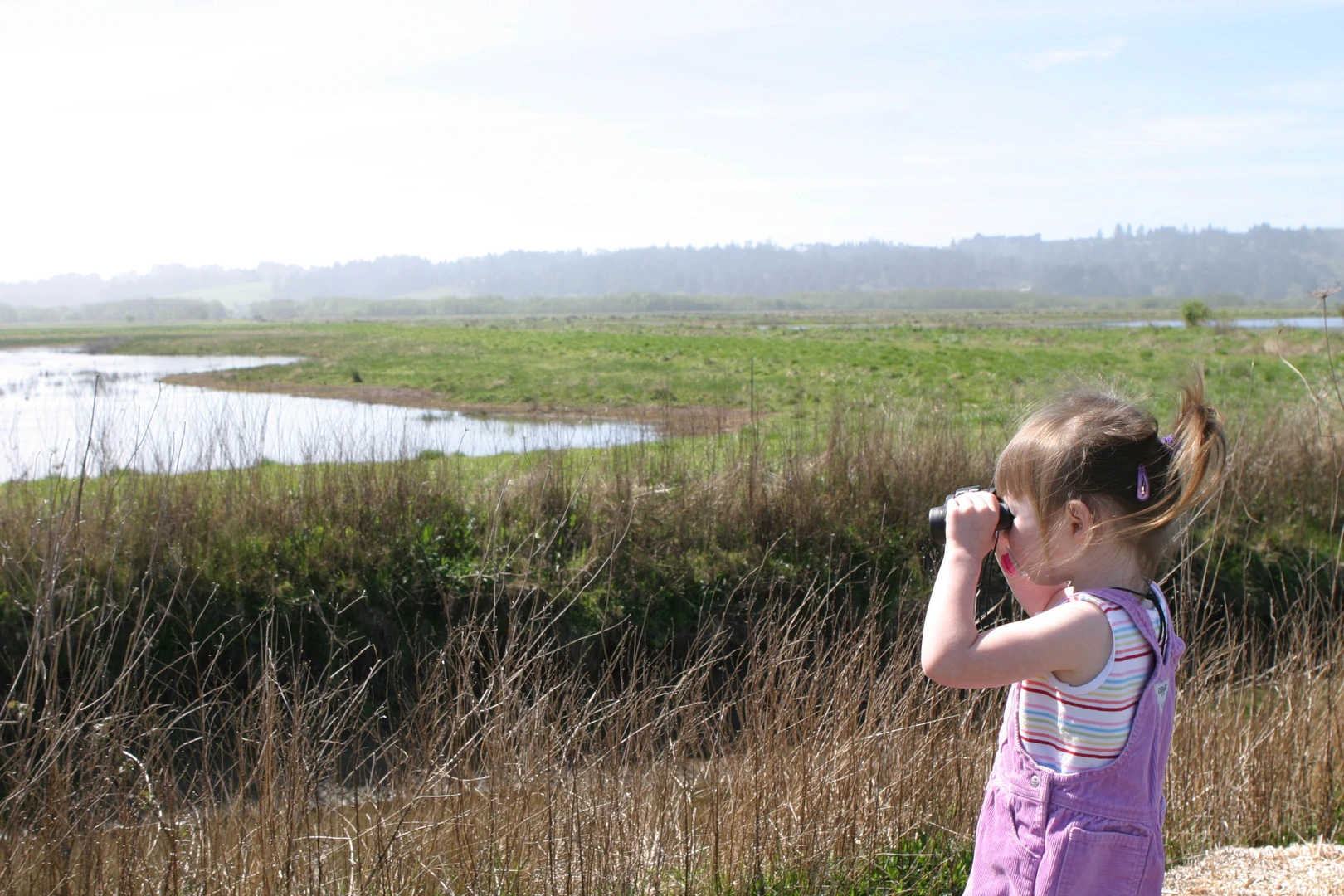An image depicting the trail Shorebird Loop Trail and its surrounding area.