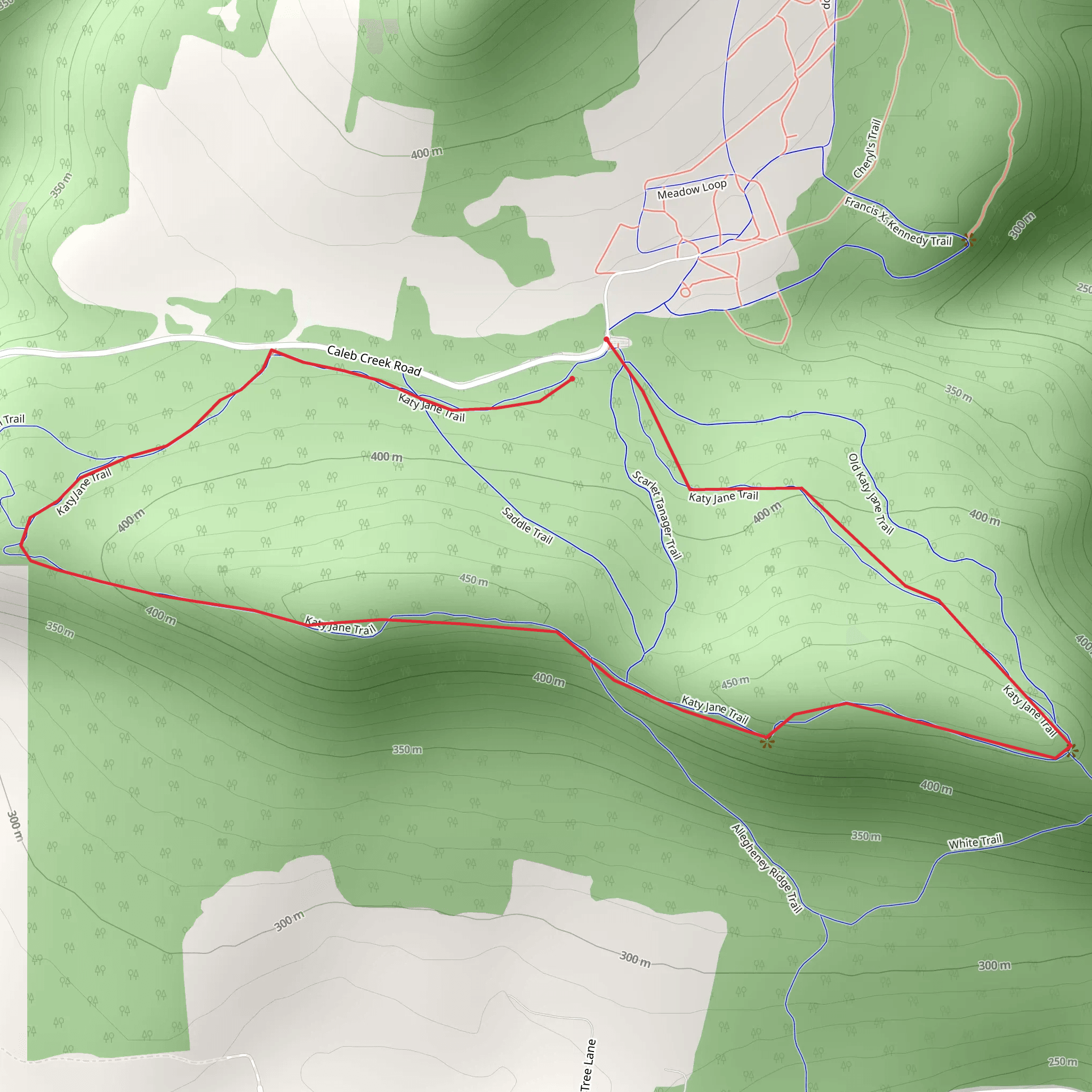 Allegheny Loop - Caleb Creek Road mobile static map