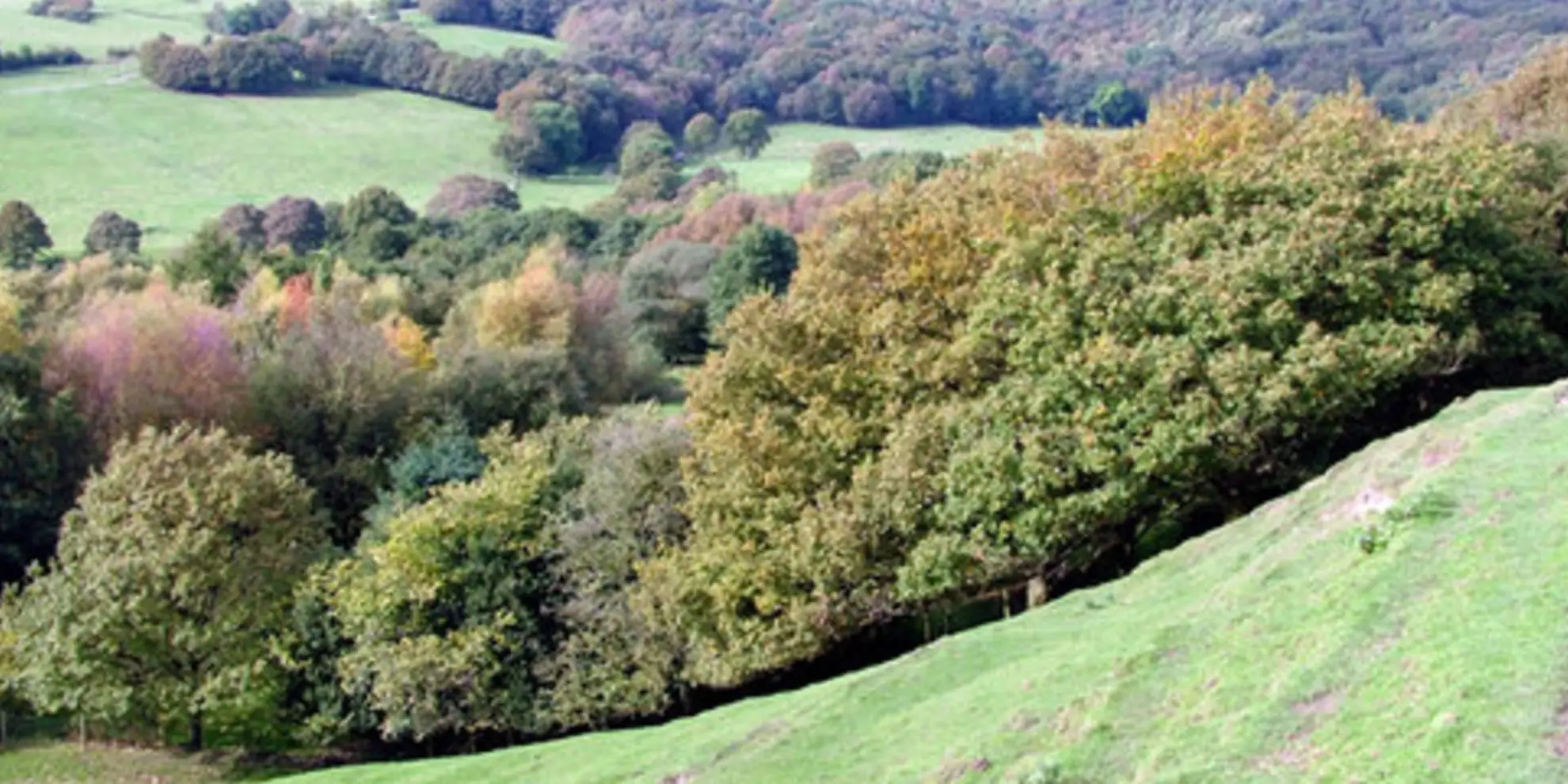 An image depicting the trail Cown Edge and Whiteley Nab from Chunal and its surrounding area.