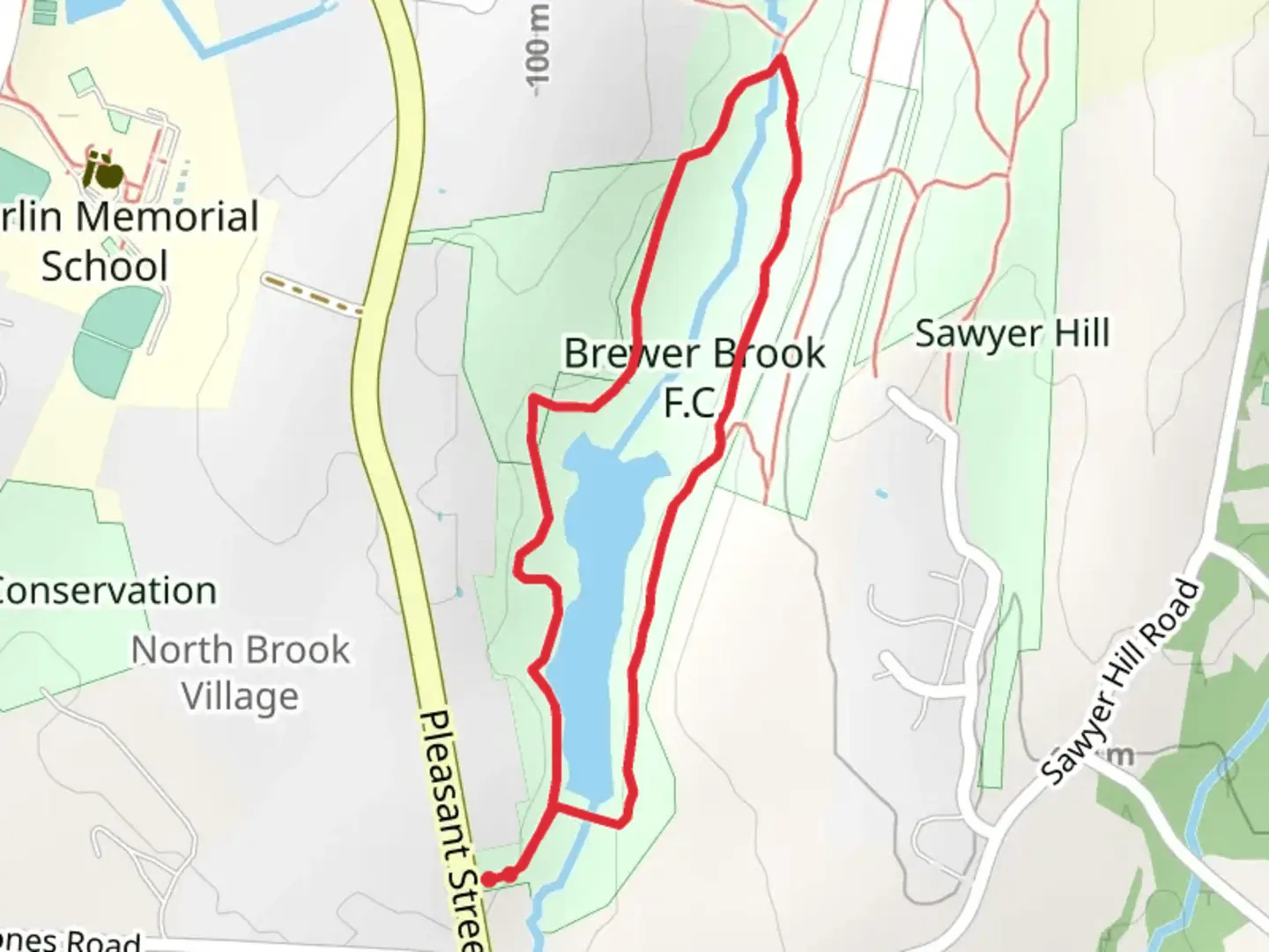 An image depicting the trail Brewer Brook FC Loop and its surrounding area.