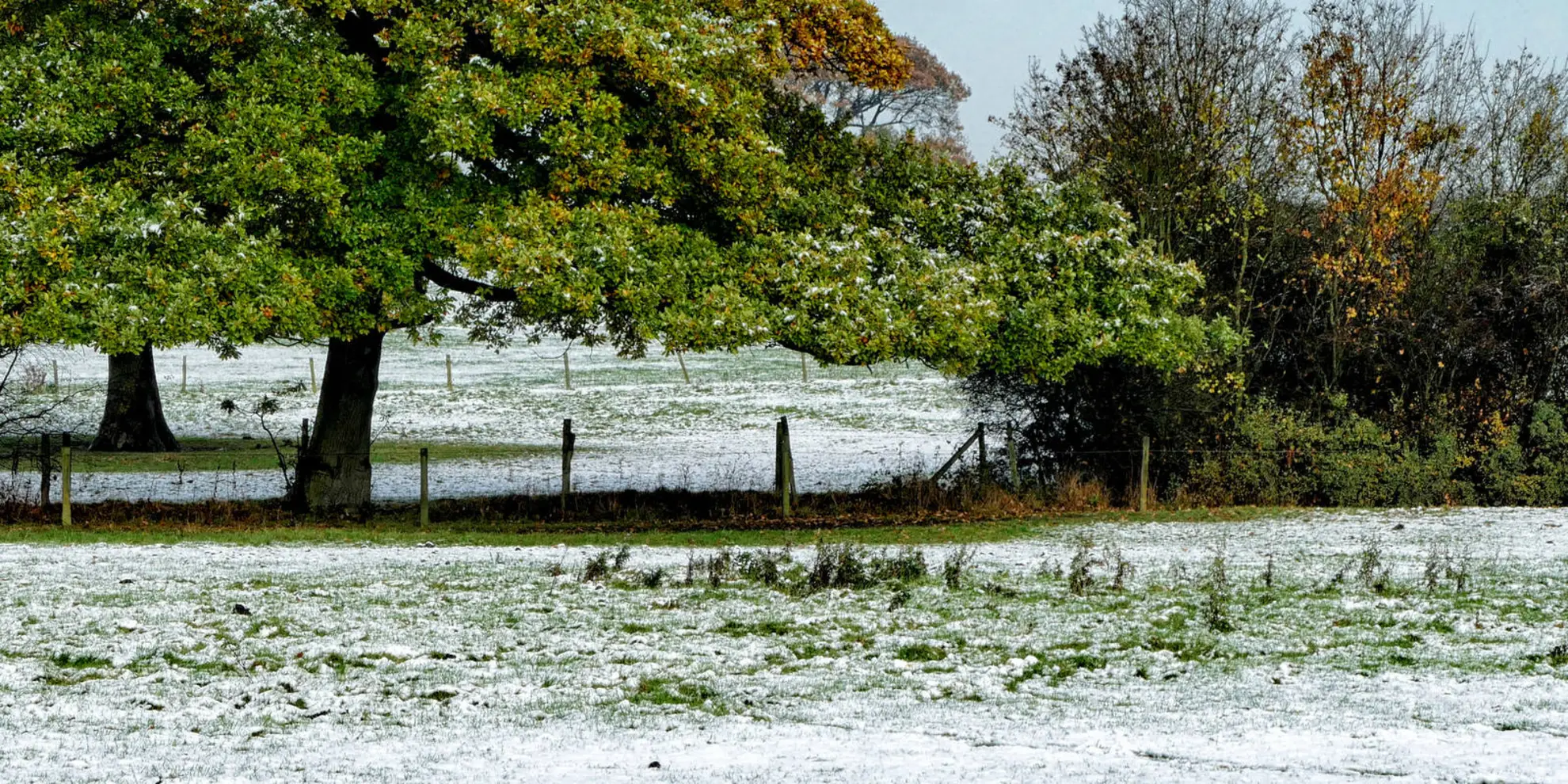 An image depicting the trail Denby Loop from Upper Cumberworth and its surrounding area.