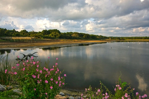 An image depicting the trail Huntington Beach State Park Loop and its surrounding area.