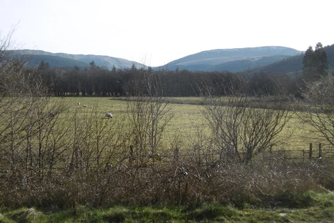 An image depicting the trail Puck's Glen Gorge Loop Trail and its surrounding area.