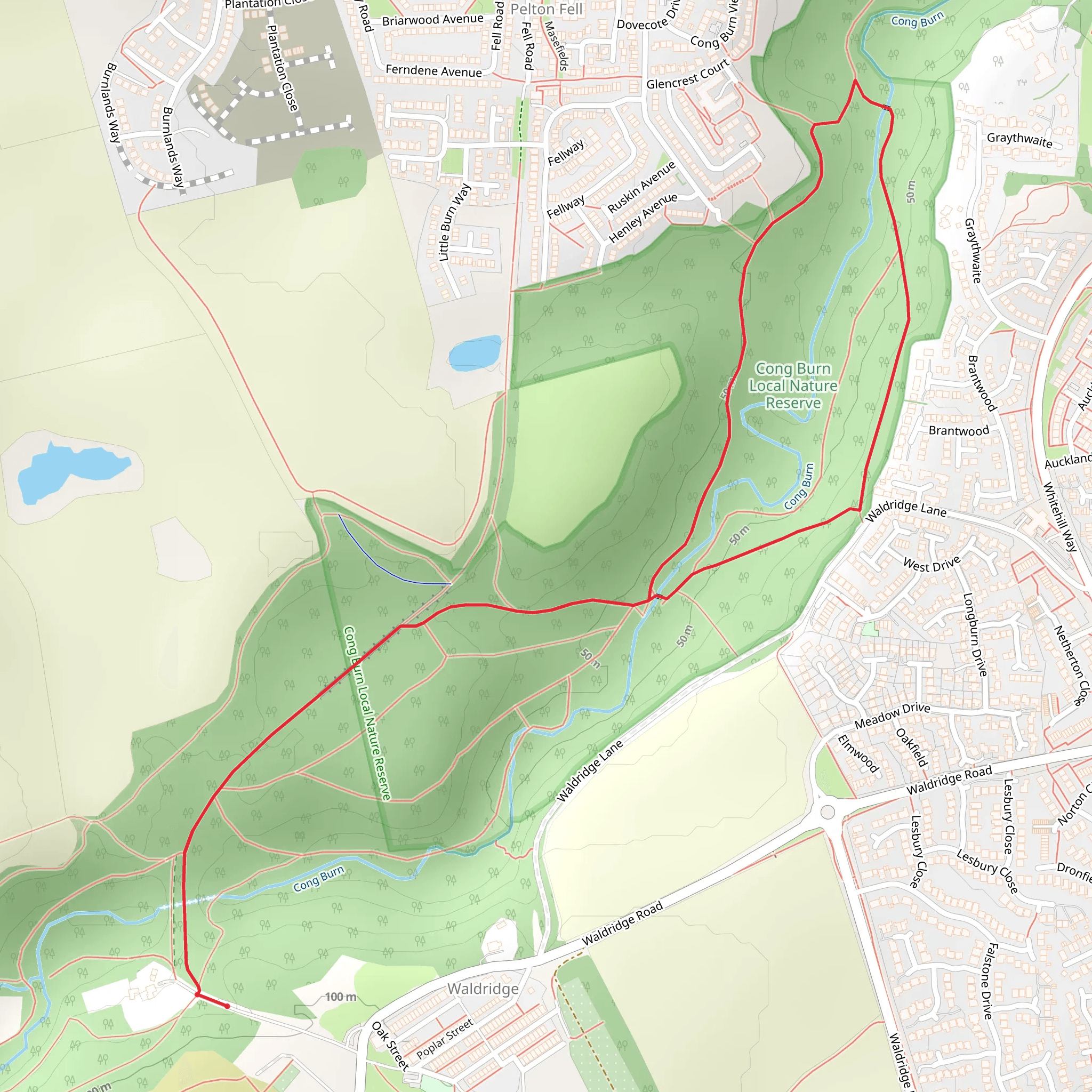 Cong Burn Woods Nature Reserve Loop mobile static map