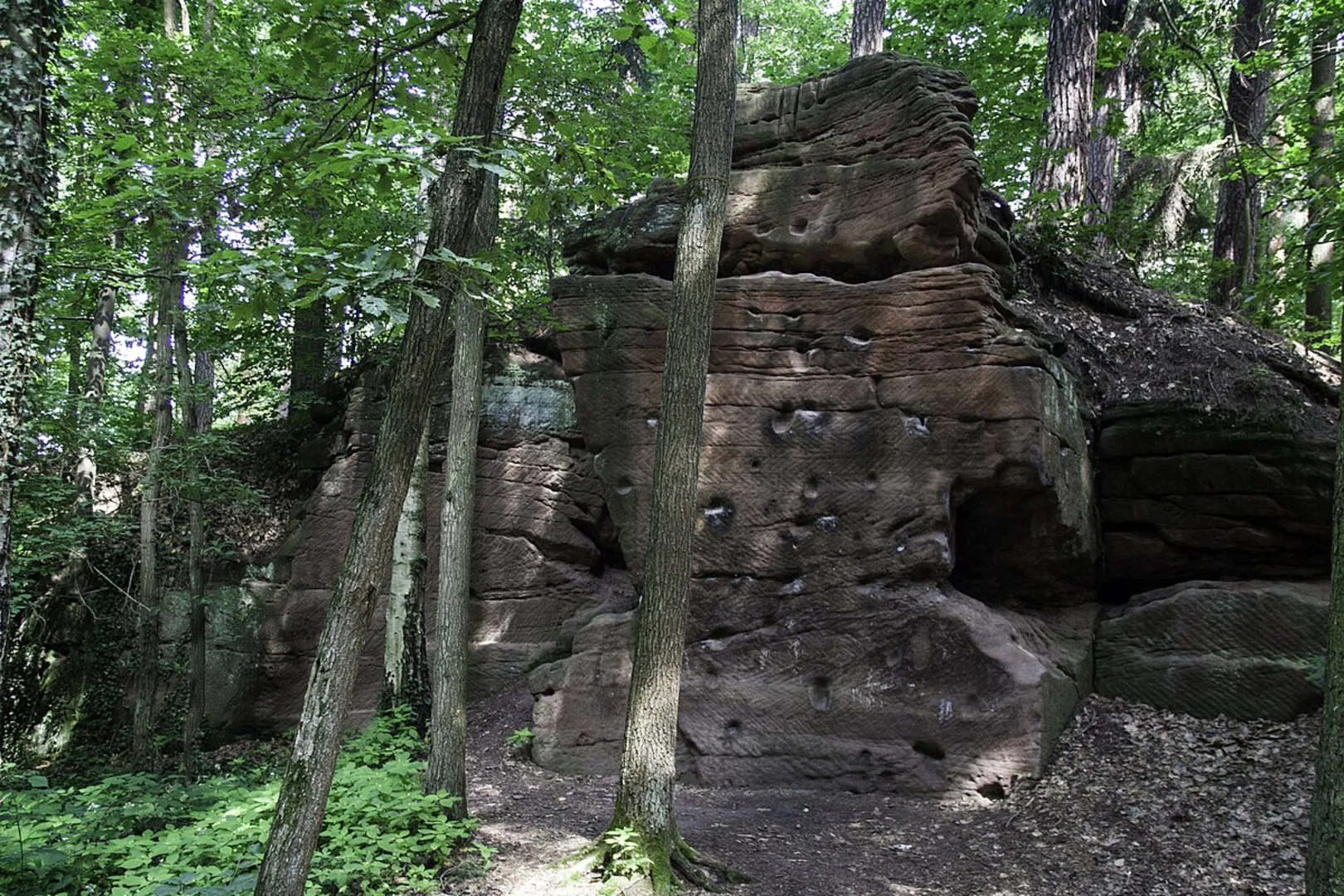 An image depicting the trail Never Walk Alone Loop and its surrounding area.
