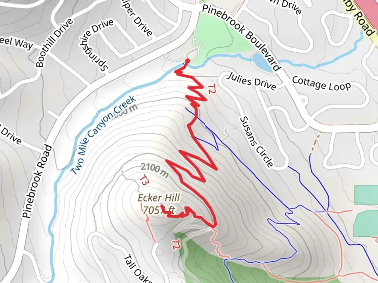 An image depicting the trail Ecker Hill via Alf Engen and its surrounding area.