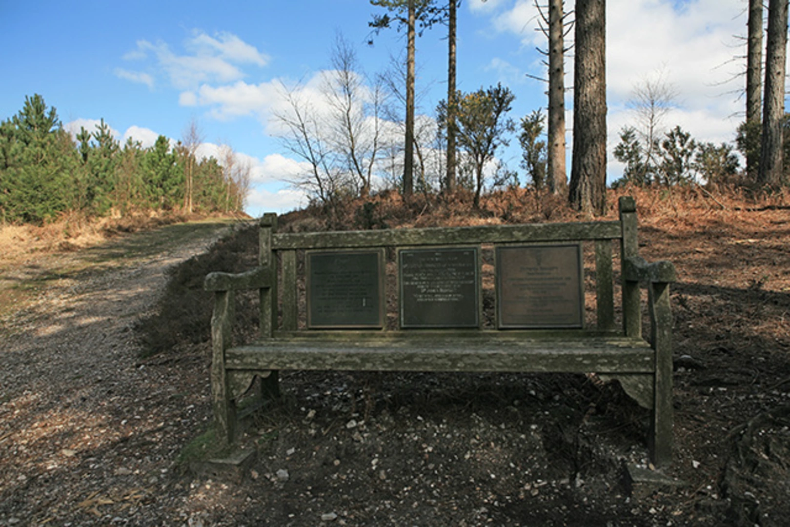 An image depicting the trail New Forest National Park Short Loop and its surrounding area.