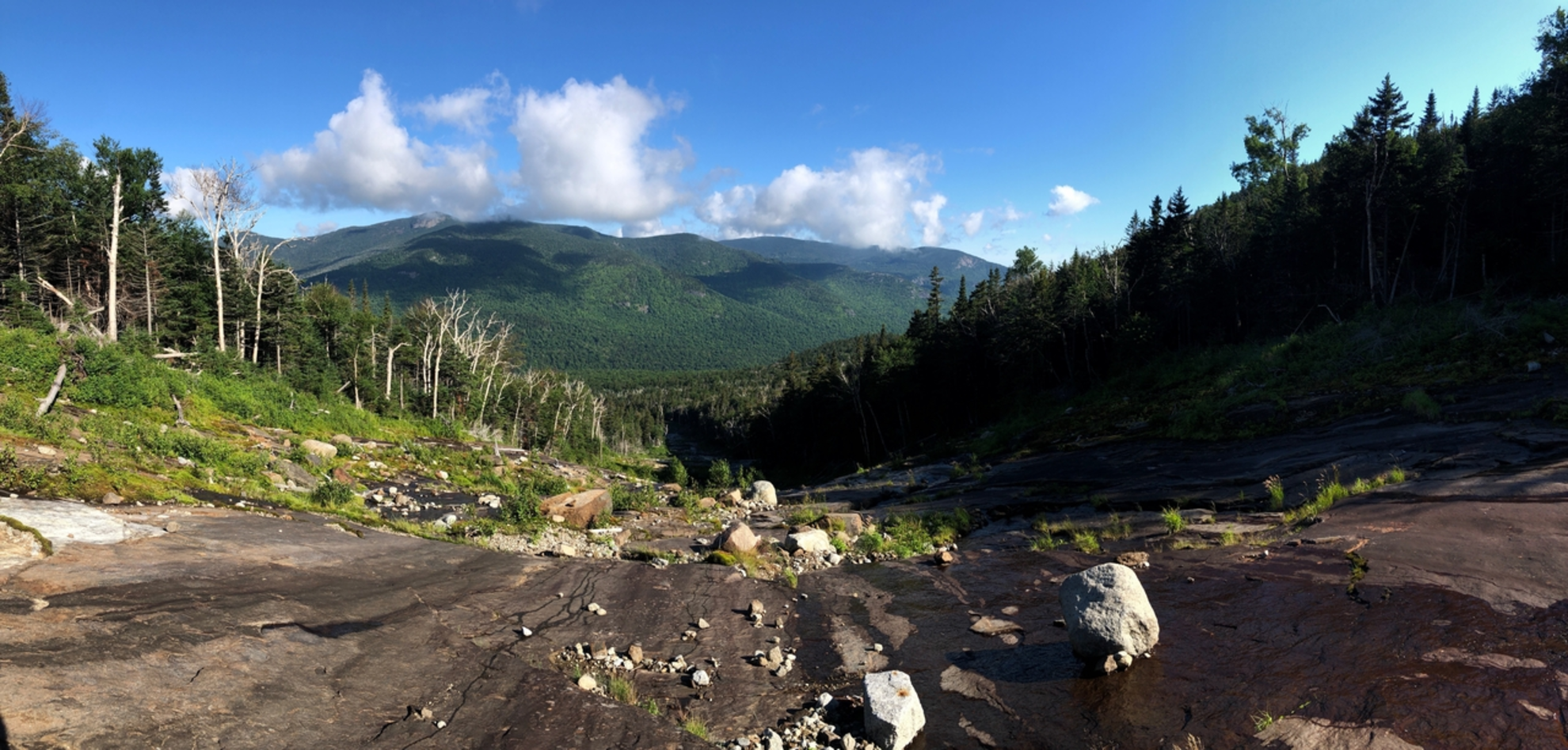 An image depicting the trail Rooster Comb, Hedgehog Mountain, Lower Wolfjaw Mountain Loop and its surrounding area.