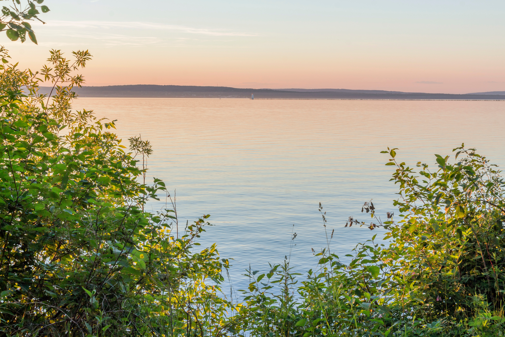 An image depicting the trail Tri County Corridor and its surrounding area.