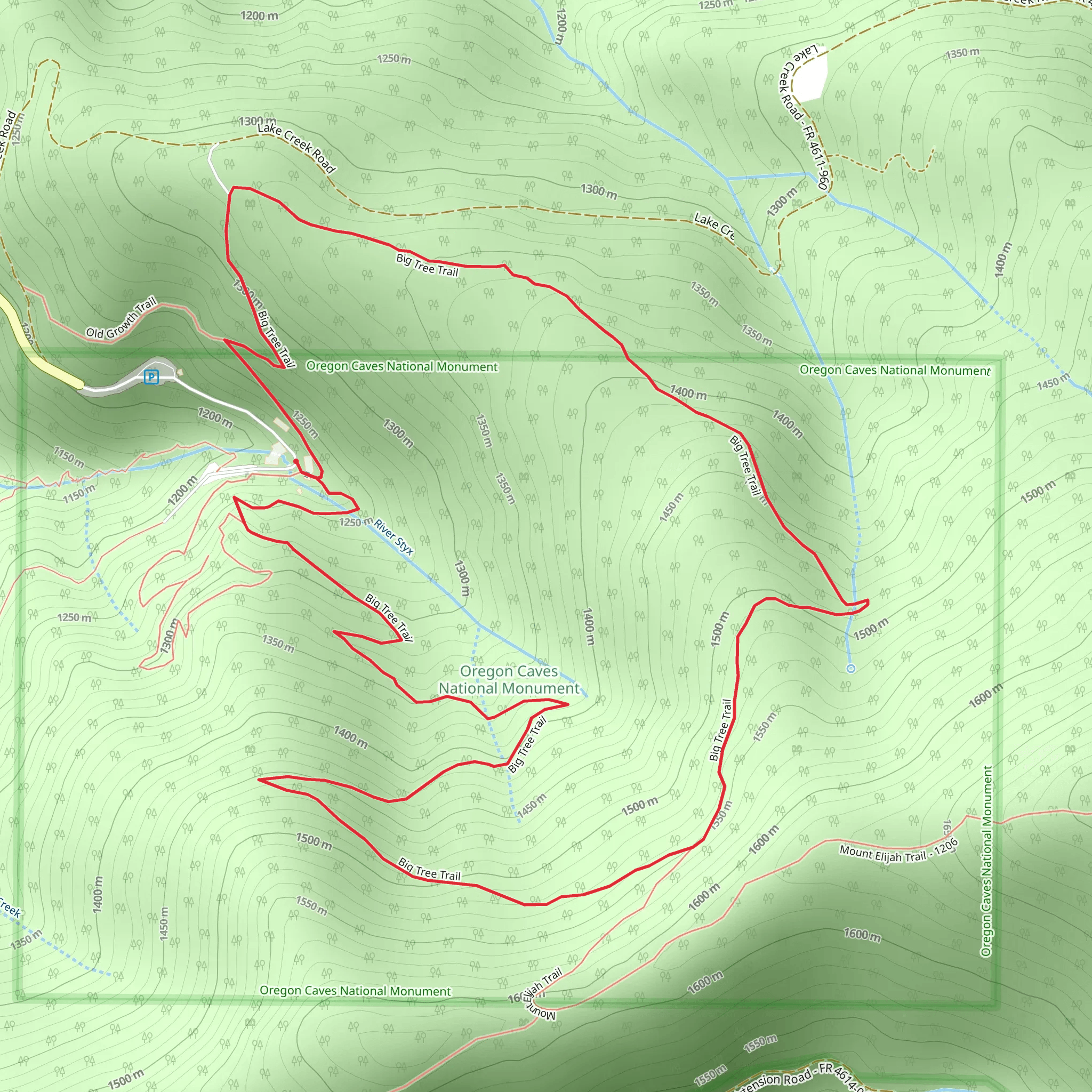 Big Tree Loop Trail mobile static map