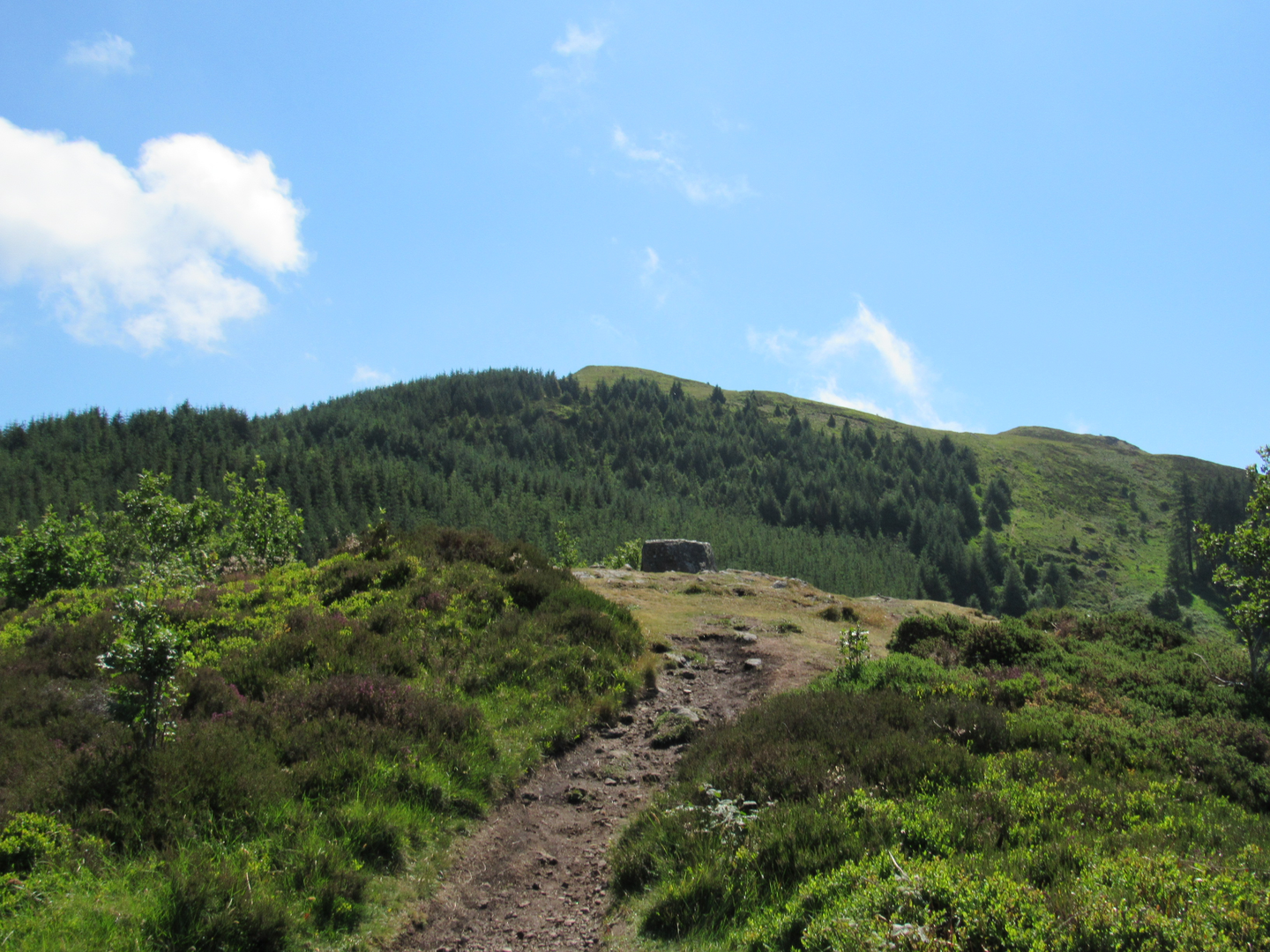 An image depicting the trail Slievemartin and its surrounding area.