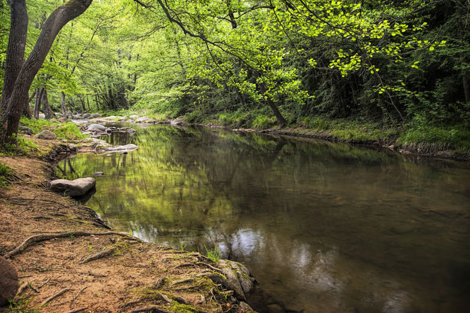 An image depicting the trail The Malafogassa Bridge SL C 121 and its surrounding area.