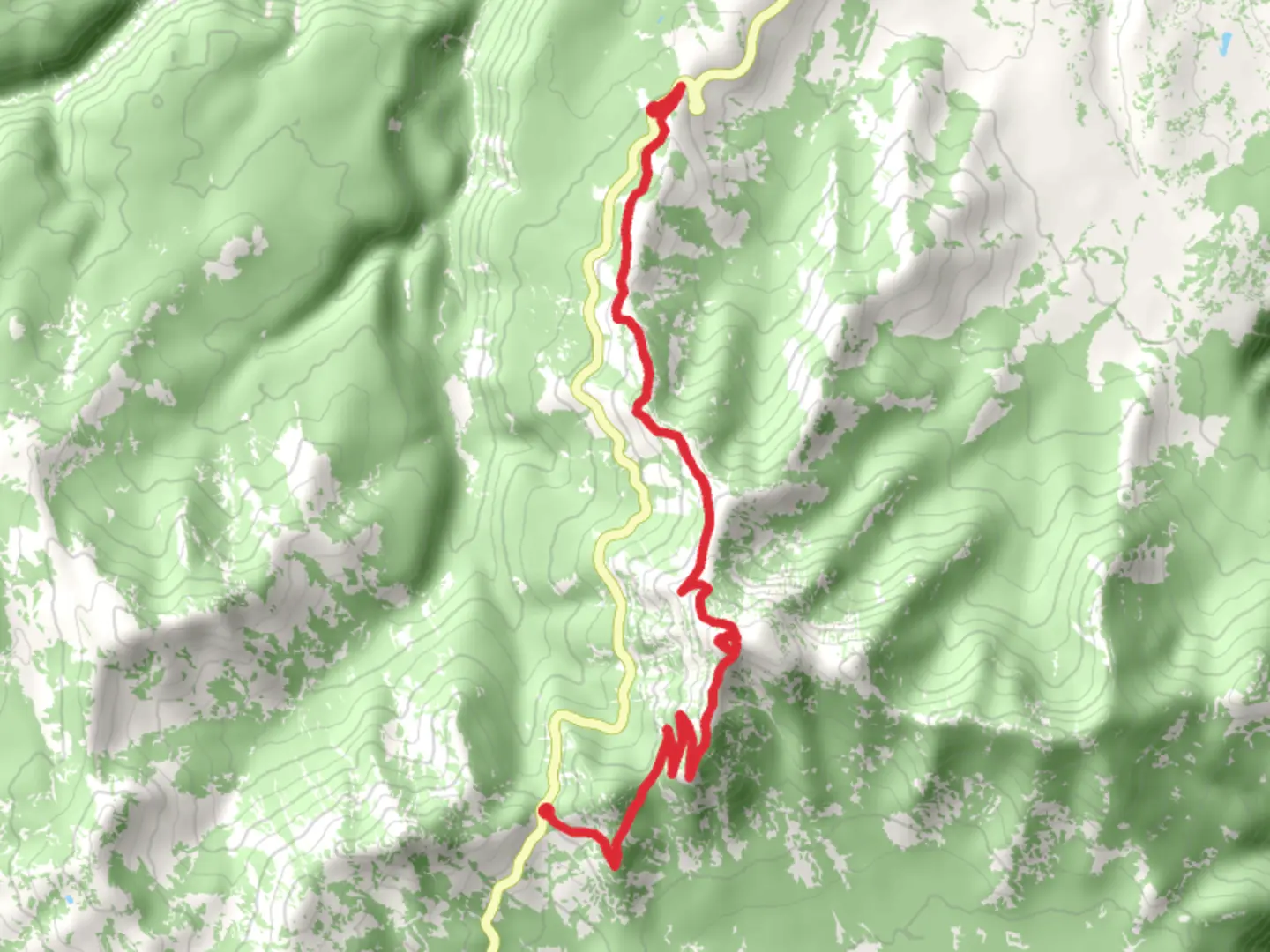 An image depicting the trail Chittenden Road-Mount Washburn and its surrounding area.