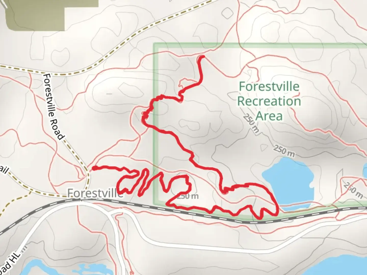 An image depicting the trail Wildcat Out and Back and its surrounding area.