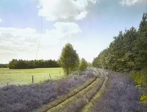 Tubbergen to Weerselo via Landgoed Baasdam and Rikmansbrug