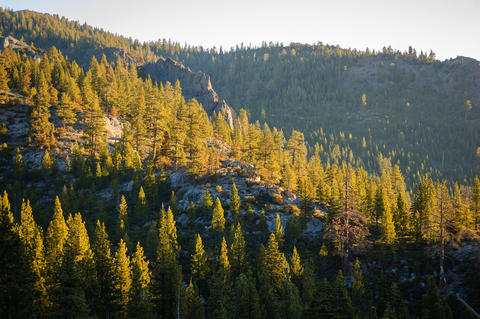 An image depicting the trail Groundhog Meadow and Grouse Lake via Crabtree Trail and Bell Meadow Trail and its surrounding area.