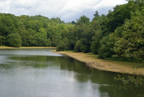 An image depicting the trail Ardingly Reservoir Walk and its surrounding area.