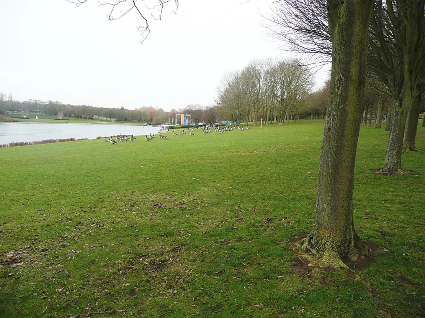 An image depicting the trail Firlands Park, Lake and Donkey Park Loop and its surrounding area.