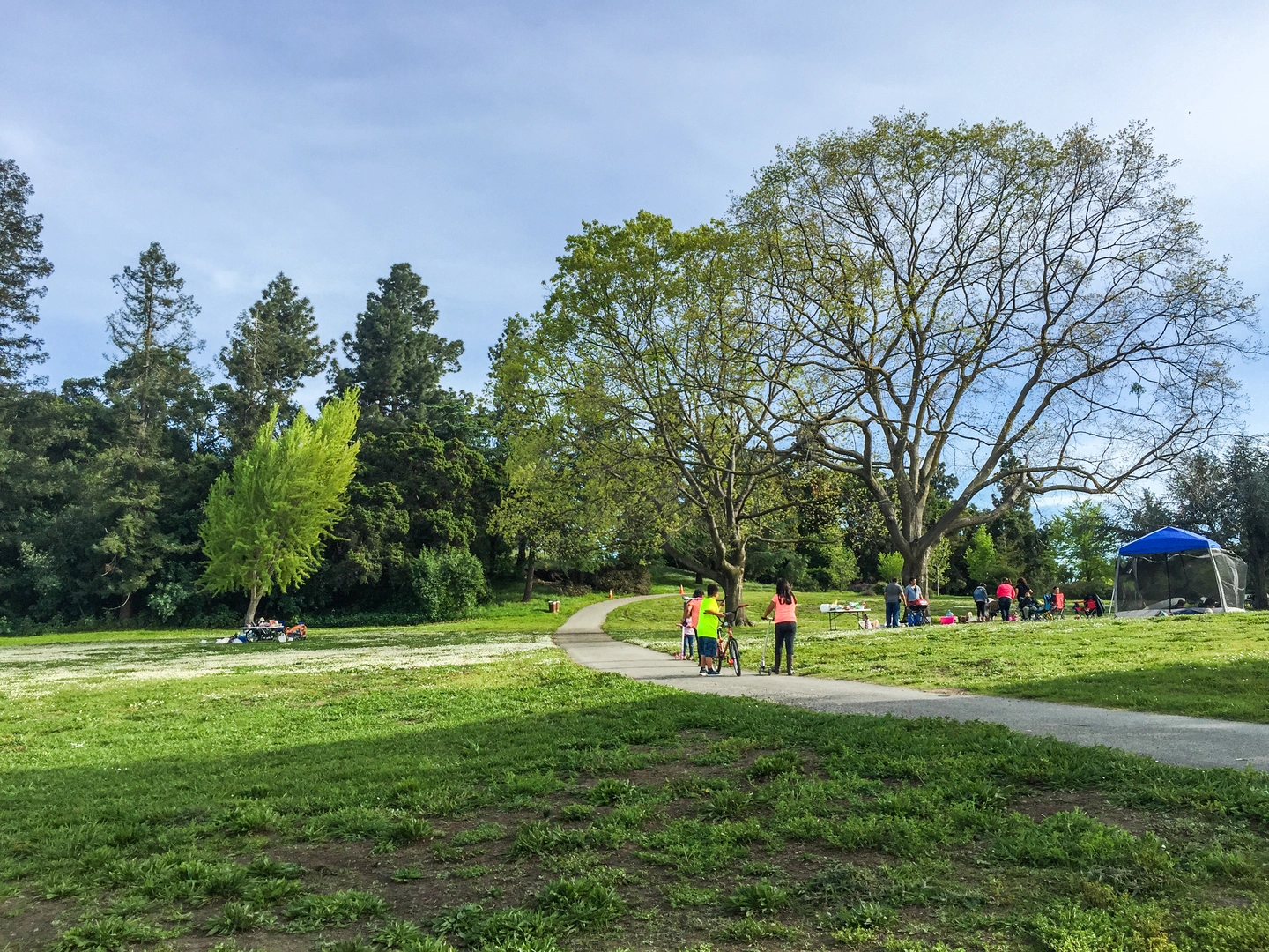 An image depicting the trail Los Gatos Creek Trail and its surrounding area.