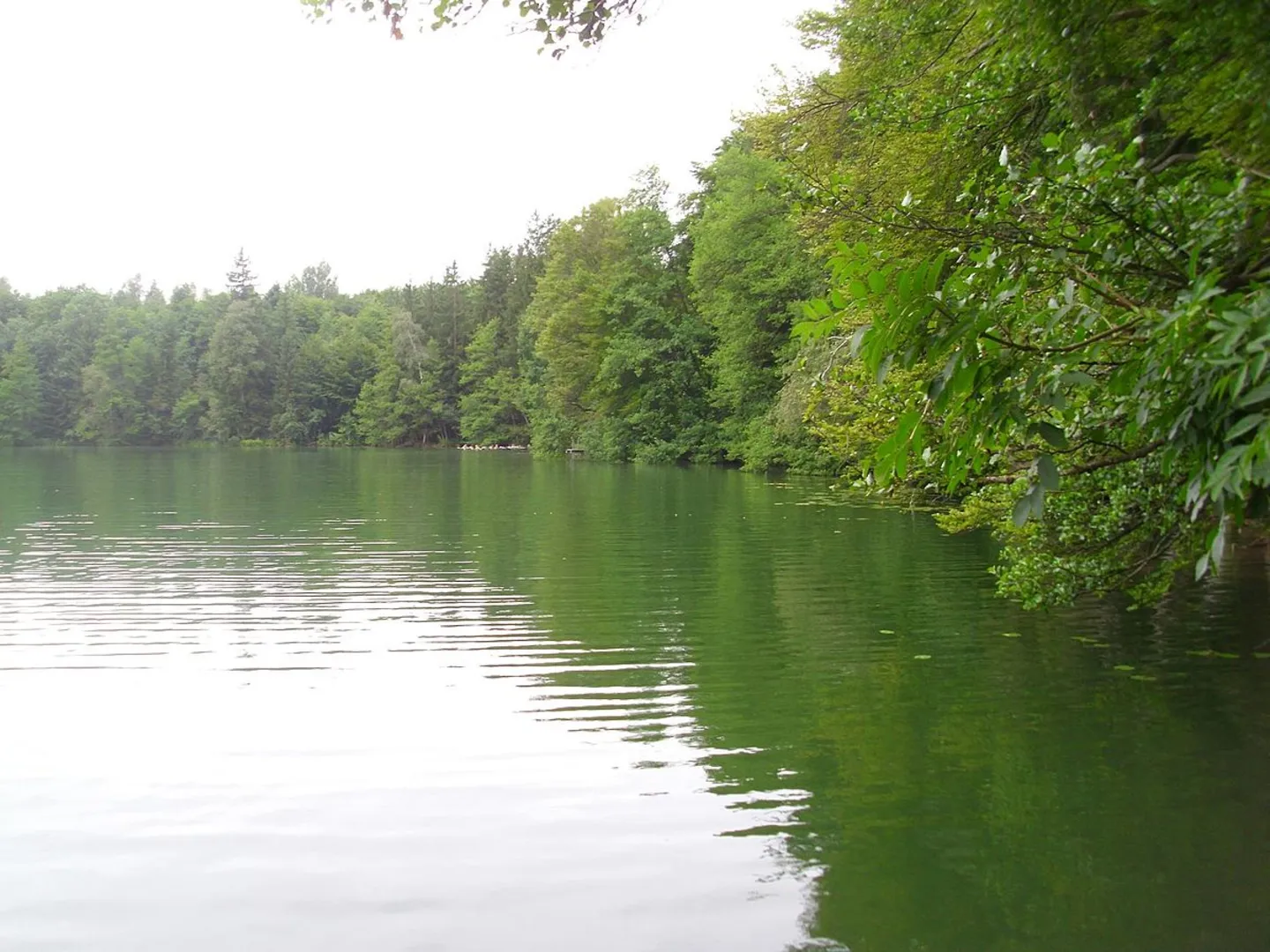 An image depicting the trail Tüttensee and Grabenstätt Loop and its surrounding area.