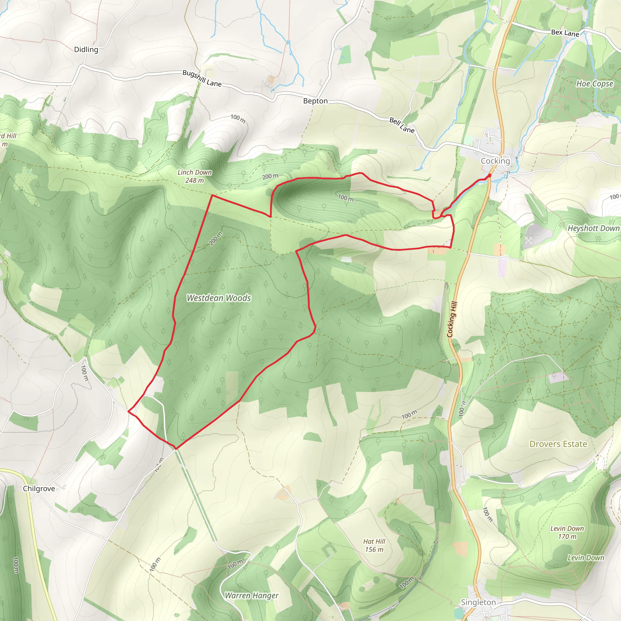 West Dean Woods Nature Reserve Loop mobile static map