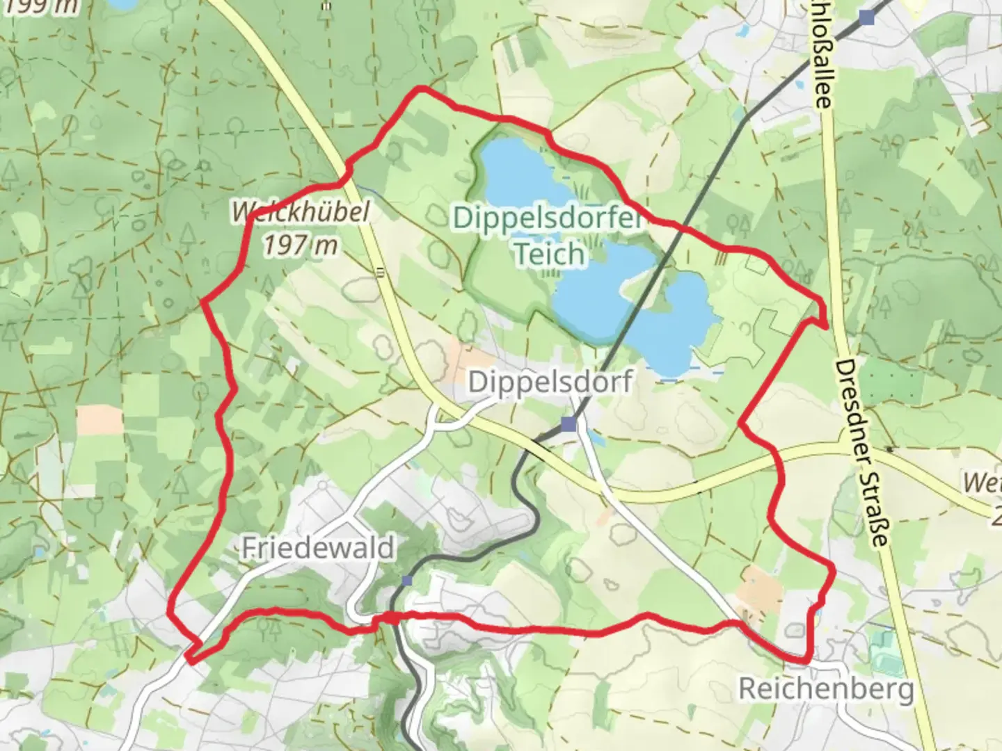 An image depicting the trail Rundweg Friedwald and its surrounding area.