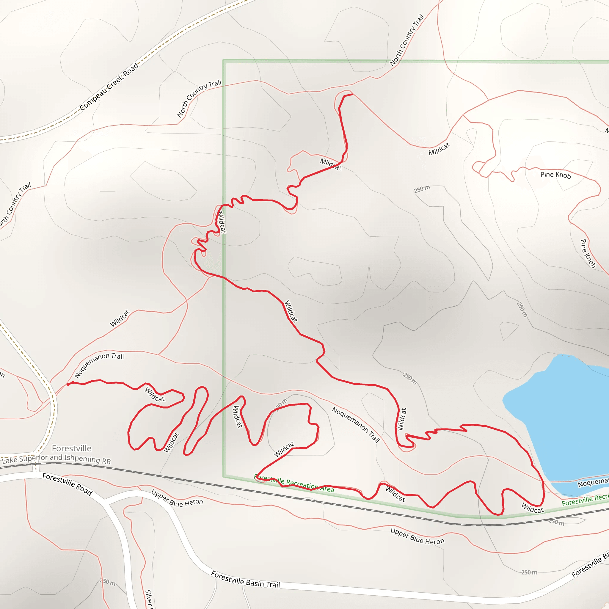 Wildcat Out and Back mobile static map