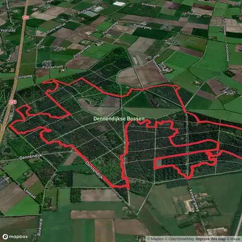 Dennendijkse Bossen Circlular Walk
