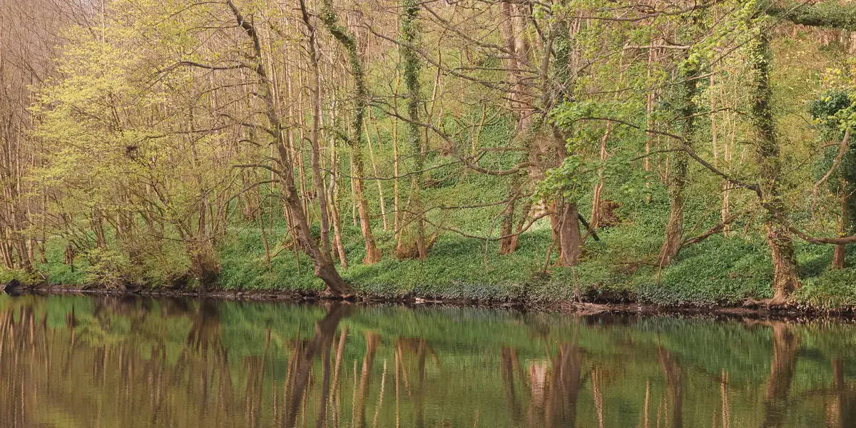 Cammo Estate and River Almond Walk - Cramond Brig