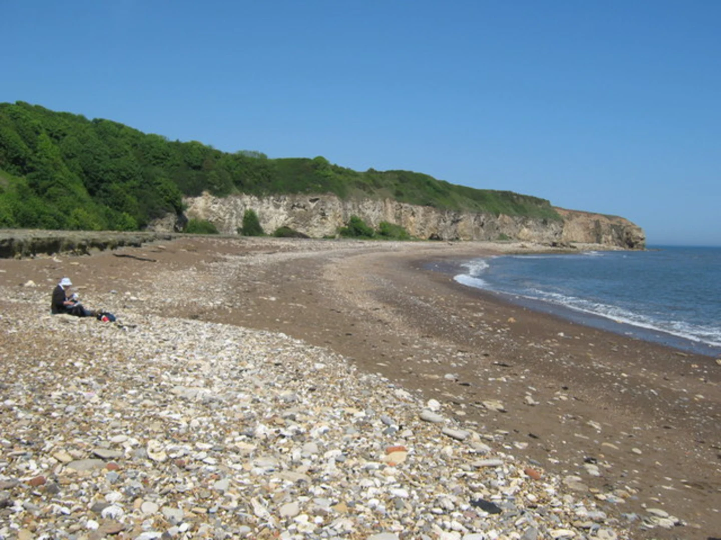 An image depicting the trail Hawthorn Wood Loop and its surrounding area.