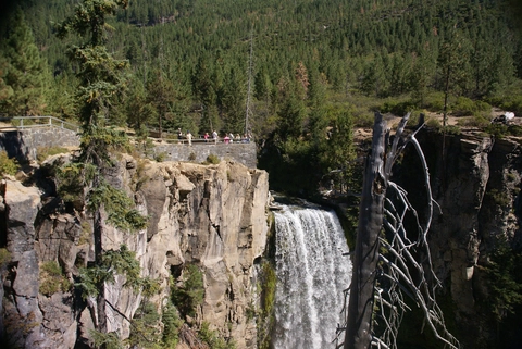 An image depicting the trail Bridge Creek Trail and its surrounding area.