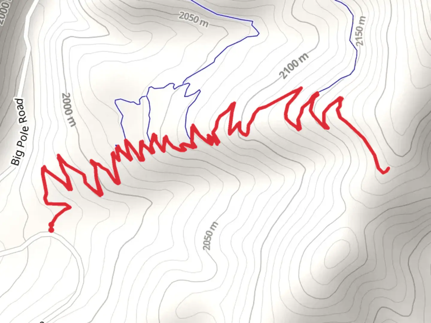 An image depicting the trail Big Pole Vista and its surrounding area.