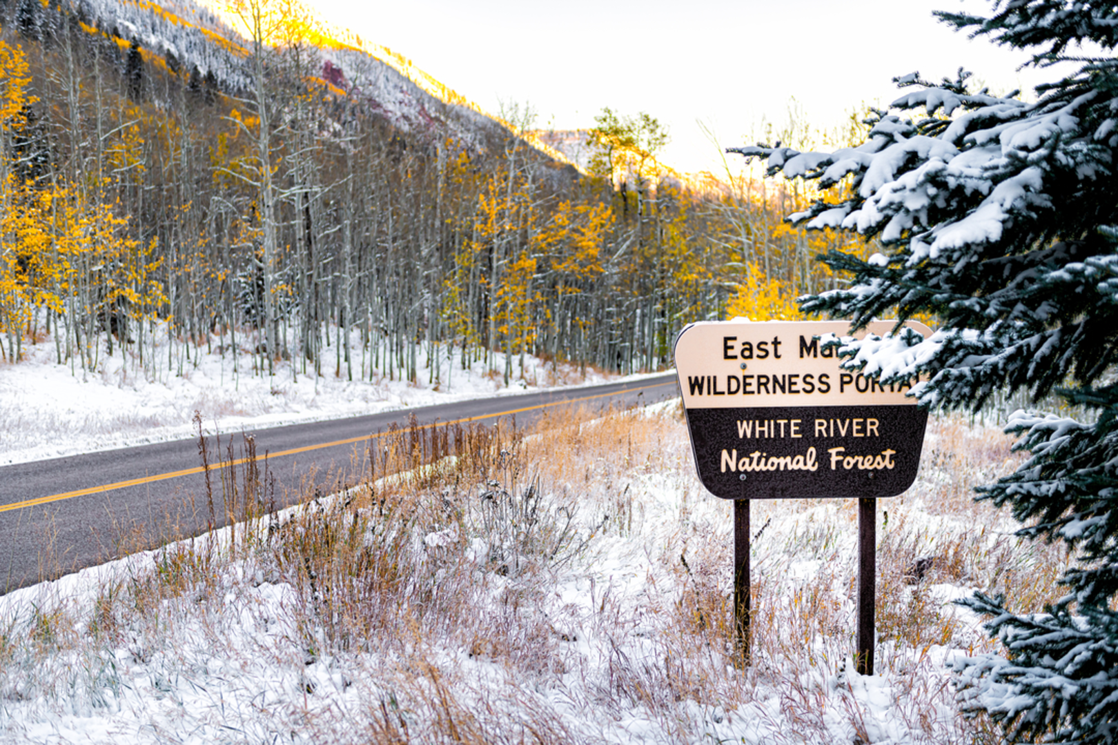 An image depicting the trail Last Chance Creek Trail and its surrounding area.
