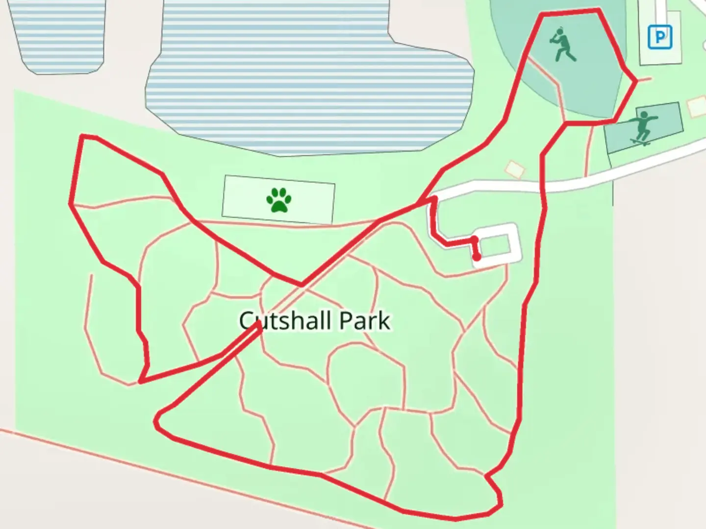 An image depicting the trail Cutshall Park Long Loop and its surrounding area.