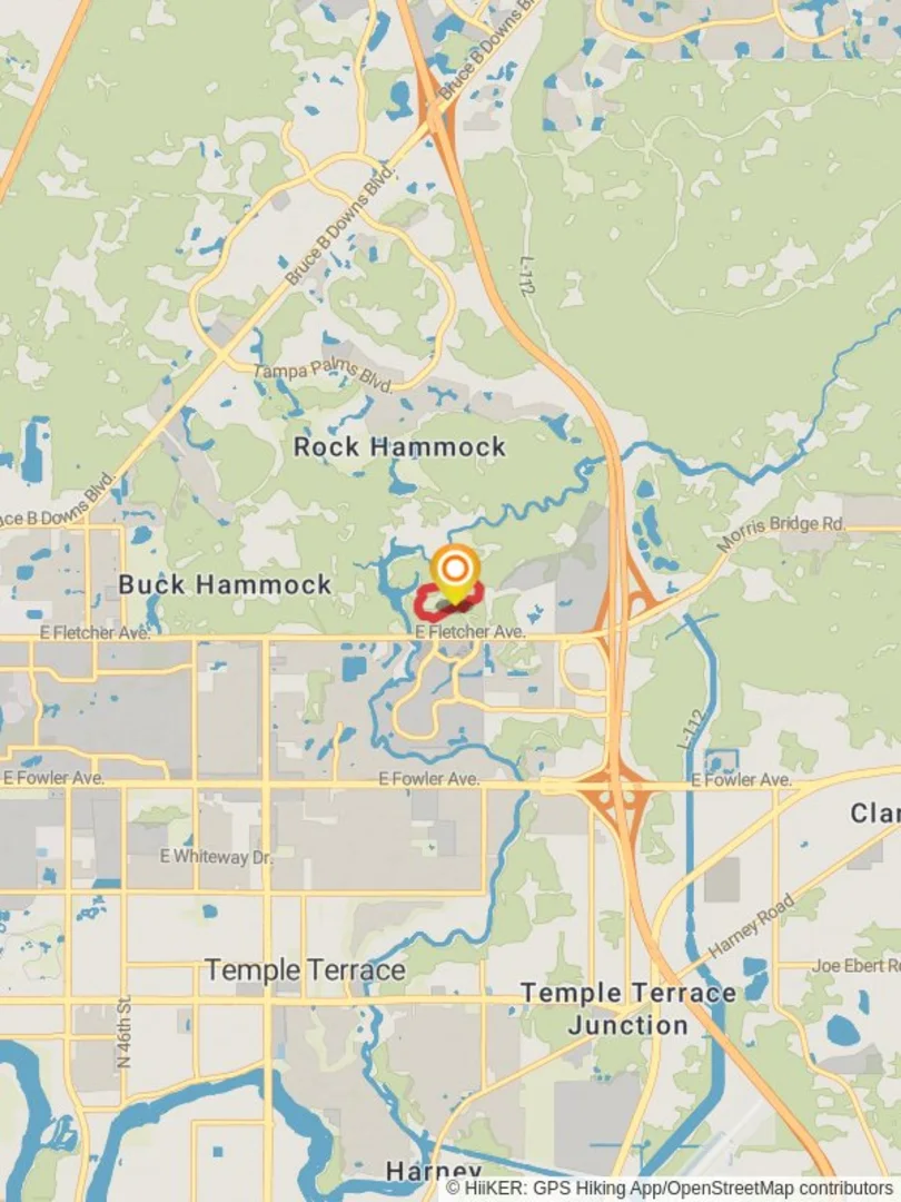 An image depicting the trail Lettuce Lake Parkway Loop and its surrounding area.