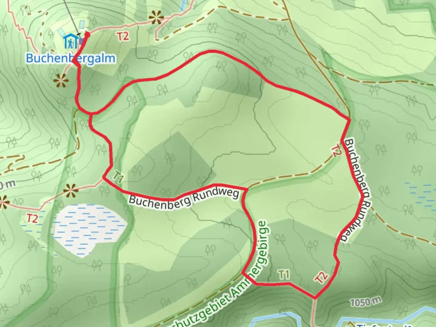 An image depicting the trail Buchenberg Rundweg Loop and its surrounding area.